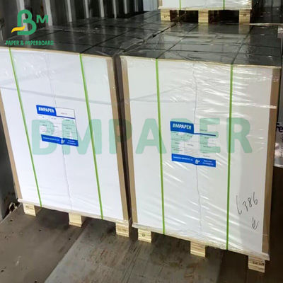 Single PE Coated Lunch Box Board Putih Putih Untuk kemasan makanan