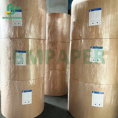 Single PE Coated Lunch Box Board Putih Putih Untuk kemasan makanan