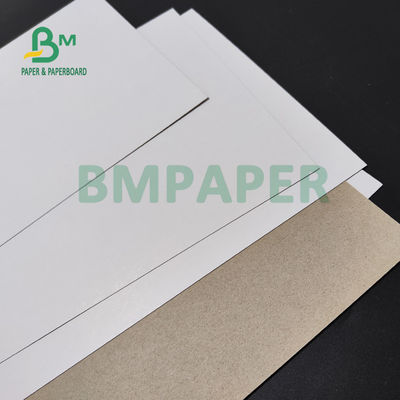 350gm Clay Coated Duplex Paperboard Untuk Kotak Kue Ketahanan keras 70 x 100cm