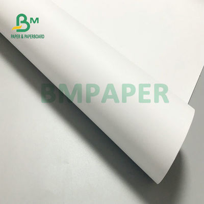 24' x 300ft 20# Bond Paper Ink Jet CAD Roll Uncoated 2' Core