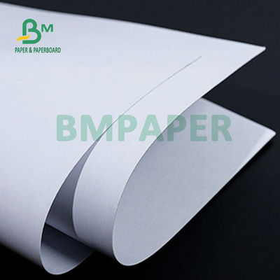 High Pulp White Coated Board Blue Core Cardboard 280gm 300gm
