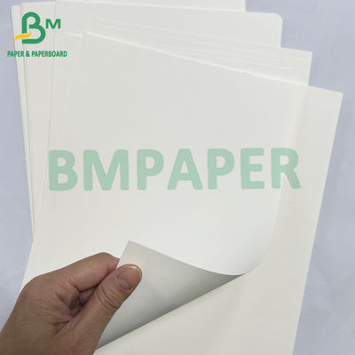 100grs 200grs Daur Ulang Makanan Bagasse Pulp White Paper Roll