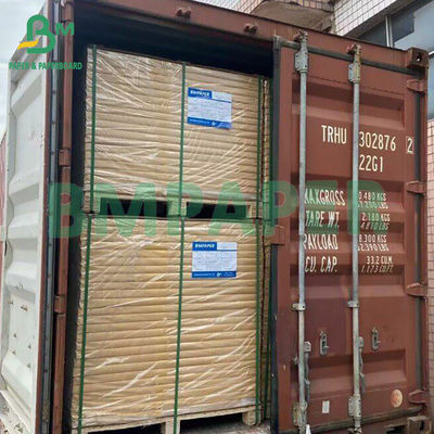 Serat Daur Ulang Tepung Gula Versus Pulp Kayu Kertas tebu untuk membuat cangkir