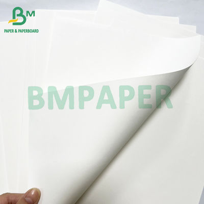 Ivory Color Book Printing Paper Jumbo Roll 40lb 60lb Offset Teks