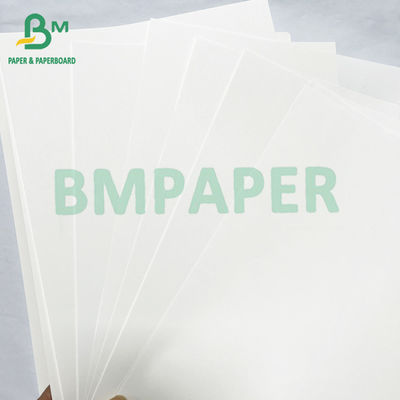 Ivory Color Book Printing Paper Jumbo Roll 40lb 60lb Offset Teks