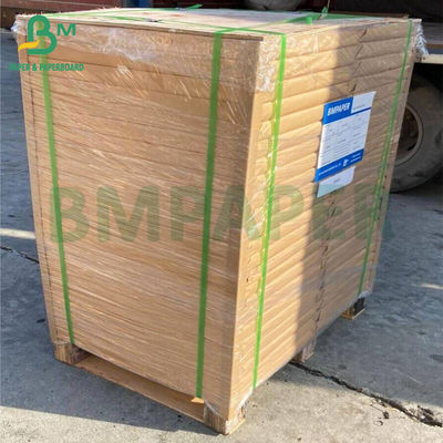 Papan Kertas Blotter Putih Alami 100% Pulp Kayu Perawan 600um 700um