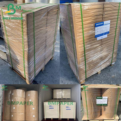 Blotter Paper White Blotting Paper 0.4mm 0.5mm 0.6mm 430 X 610mm 500 lembar Paket Ream