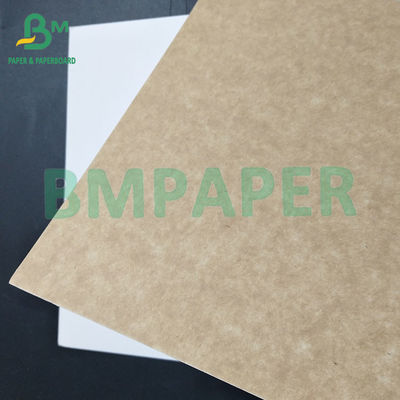 200 250gsm 100% kayu murni pulp makanan kelas dilapisi kraft kembali untuk kemasan produk makanan