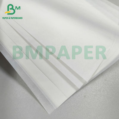 34gsm 38gsm 50gsm Putih Karet tahan lemak Piring Makanan Liner Paper Roll