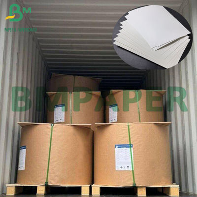 300g+15g PE Matte Satu Sisi Dilapisi Kertas Kemasan Makanan Karton Putih