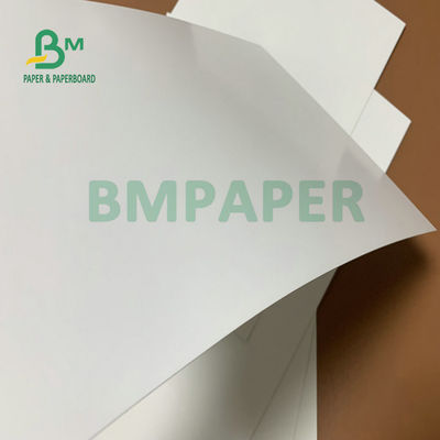 275gm + 15gm PE Lapisan Papan Putih Lapisan 74 x 106cm Untuk Kotak Kemasan Beku
