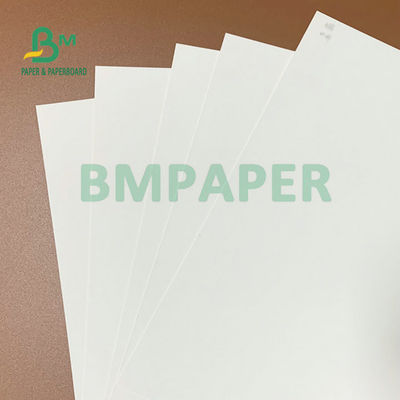 275gm + 15gm PE Lapisan Papan Putih Lapisan 74 x 106cm Untuk Kotak Kemasan Beku