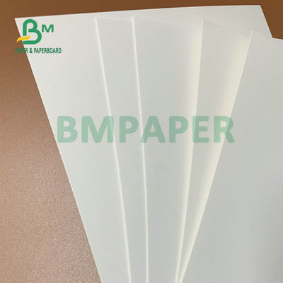 275gm + 15gm PE Lapisan Papan Putih Lapisan 74 x 106cm Untuk Kotak Kemasan Beku
