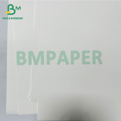 125 Lemparan Kertas Sintetik Termal Medis Lesu Anti Bakteri