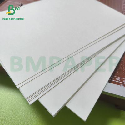 Natural Compostable Uncoated White Paper Untuk Cangkir Mangkuk Sup