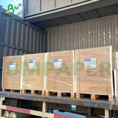 Natural Compostable Uncoated White Paper Untuk Cangkir Mangkuk Sup