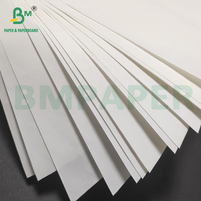 Natural White And Cream Bible Paper 35 / 40 / 50gsm Dictionary Printing Paper (Kertas cetak kamus)