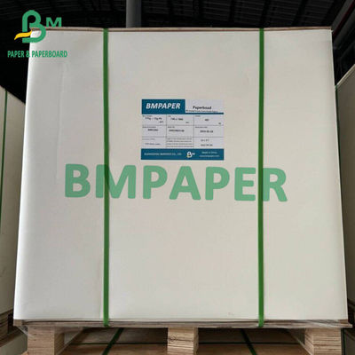 Papan kertas putih kelas makanan beku 15g Single PE Coated Board Sesuaikan lembaran besar