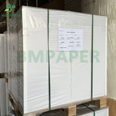 Kertas Novel Massal Tinggi 65gsm 70gsm Kertas Buku Krim Tanpa Lapisan