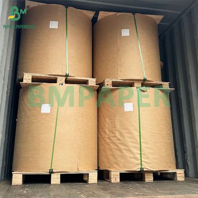 Kertas kraft tahan air dan serangga untuk kantong mangga
