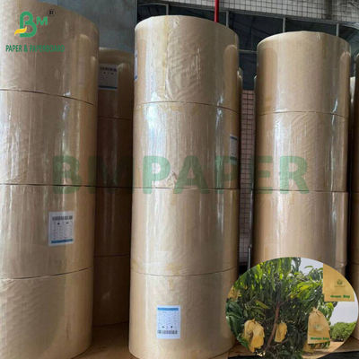 Kantong Perlindungan Pertumbuhan Mangga 30gm Inner Black Paper Roll Sunproof