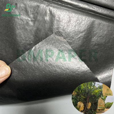 Kantong Perlindungan Pertumbuhan Mangga 30gm Inner Black Paper Roll Sunproof