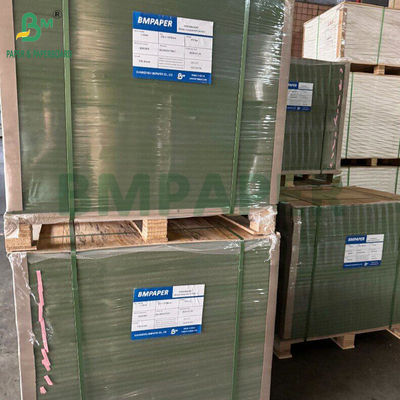 1.2mm 800g Green Lacquered Karton Untuk Folder 720 X 1030mm Ketahanan keras