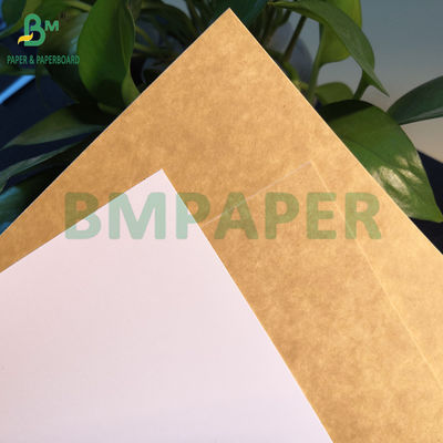 235gm 275gm Plat Kertas Kraft Lapisan Untuk Kotak Dessert Food Safe 61 x 86cm