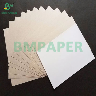 300gm Kekuatan Baik Duplex Board C1S Grey Back Untuk Packing Box