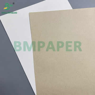 130g 300g Natural Gula Gula Bagasse Pulp Paper Untuk Piring Makanan Rolls Biodegradable Paperboard