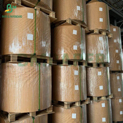 130g 300g Natural Gula Gula Bagasse Pulp Paper Untuk Piring Makanan Rolls Biodegradable Paperboard