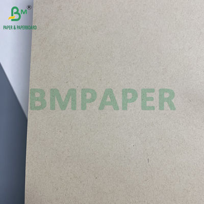 130g 300g Natural Gula Gula Bagasse Pulp Paper Untuk Piring Makanan Rolls Biodegradable Paperboard