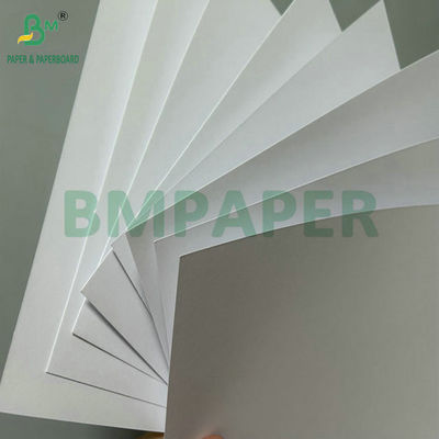 Kehalusan yang sangat baik 100Gram 120Gram Uncoated Woodfree Paper Untuk Offset Printing 71cm Roll