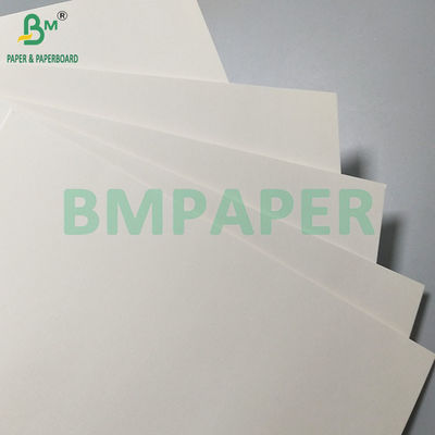 260gsm+18PE Mat Coated Food Oilproof Paper untuk membuat cangkir dan mangkuk kertas sekali pakai