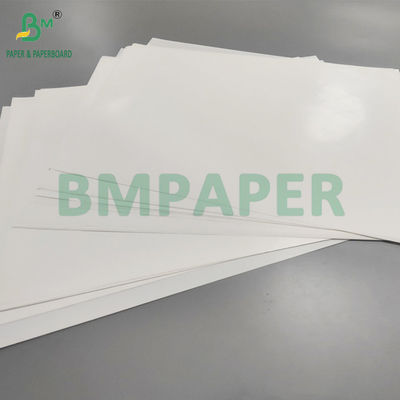 70gm Satu sisi dilapisi C1S Wet Strength Label Paper Untuk Bir Water Resistant