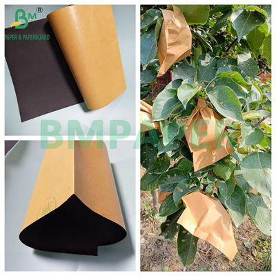 56gm Brown And Black Fruit Mango Bag Pelindung Gulung Kertas