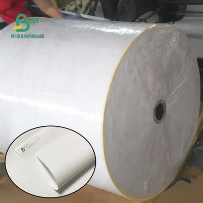 55gm 790mm 795mm Kuitansi Termal Kertas Jumbo Roll