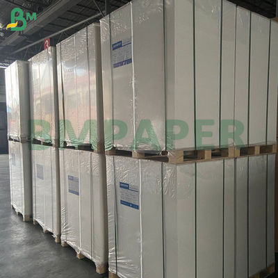 240g kertas cangkir putih 100% pulpa kayu dan tidak dilapisi untuk cangkir