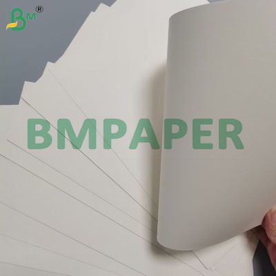 190g Bowl Paper 100 % Virgin Wood Pulp Custom Coated Untuk Bowl Paper