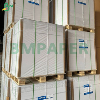 Kertas filter kopi sekali pakai cokelat 100 hitung 2-4 cangkir Ripple Paper