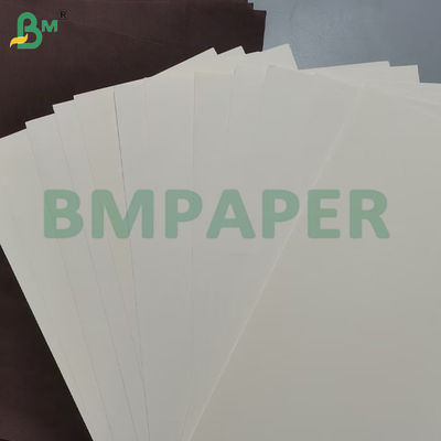 Cupcake Muffin Liner Baking Paper Food Grade Ramah lingkungan 80 * 100cm