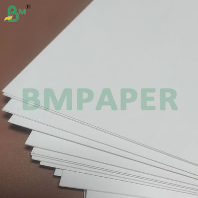 135-350 GSM Rulo kertas untuk mangkuk kertas