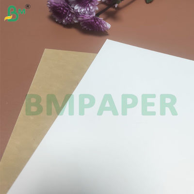 135-350 GSM Rulo kertas untuk mangkuk kertas