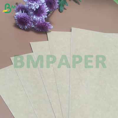 135-350 GSM Rulo kertas untuk mangkuk kertas