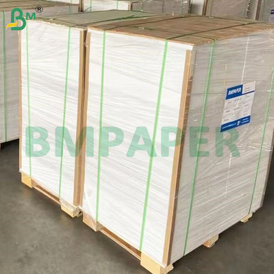 135-350 GSM Rulo kertas untuk mangkuk kertas