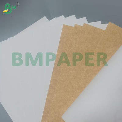210g 230g Satu sisi dilapisi Papan Pangan Pangan Berkualitas Perawan Kayu Pulp