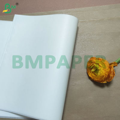 Lembar kertas masak berlapis silikon sisi ganda yang dapat didaur ulang