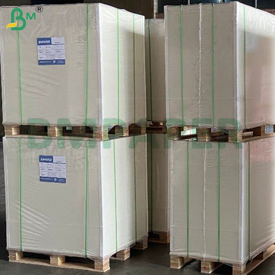 310gm Blue Core Paper Lembar Kardus Glossy Lapisan Sisi Dua Lapisan