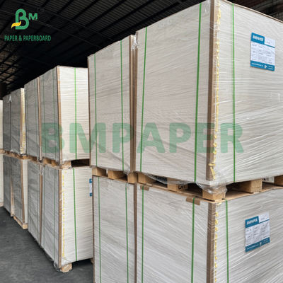 255gm + 15g PE Lapisan Kertas Makanan Kekuatan Beku Untuk Supermarket Kelembaban Proof