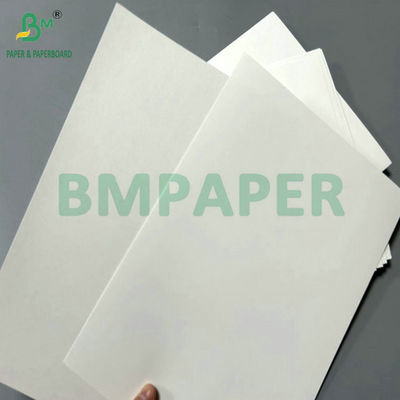 300g 350g White Coated Folding Cardboard Untuk High End Printing 65 X 90cm